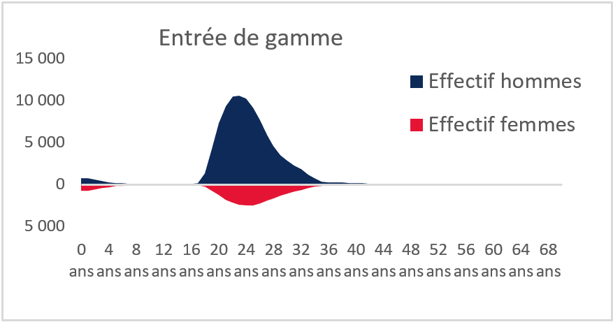 Entrée de gamme