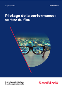 Pilotage de la performance : sortez du flou - Un guide SeaBird