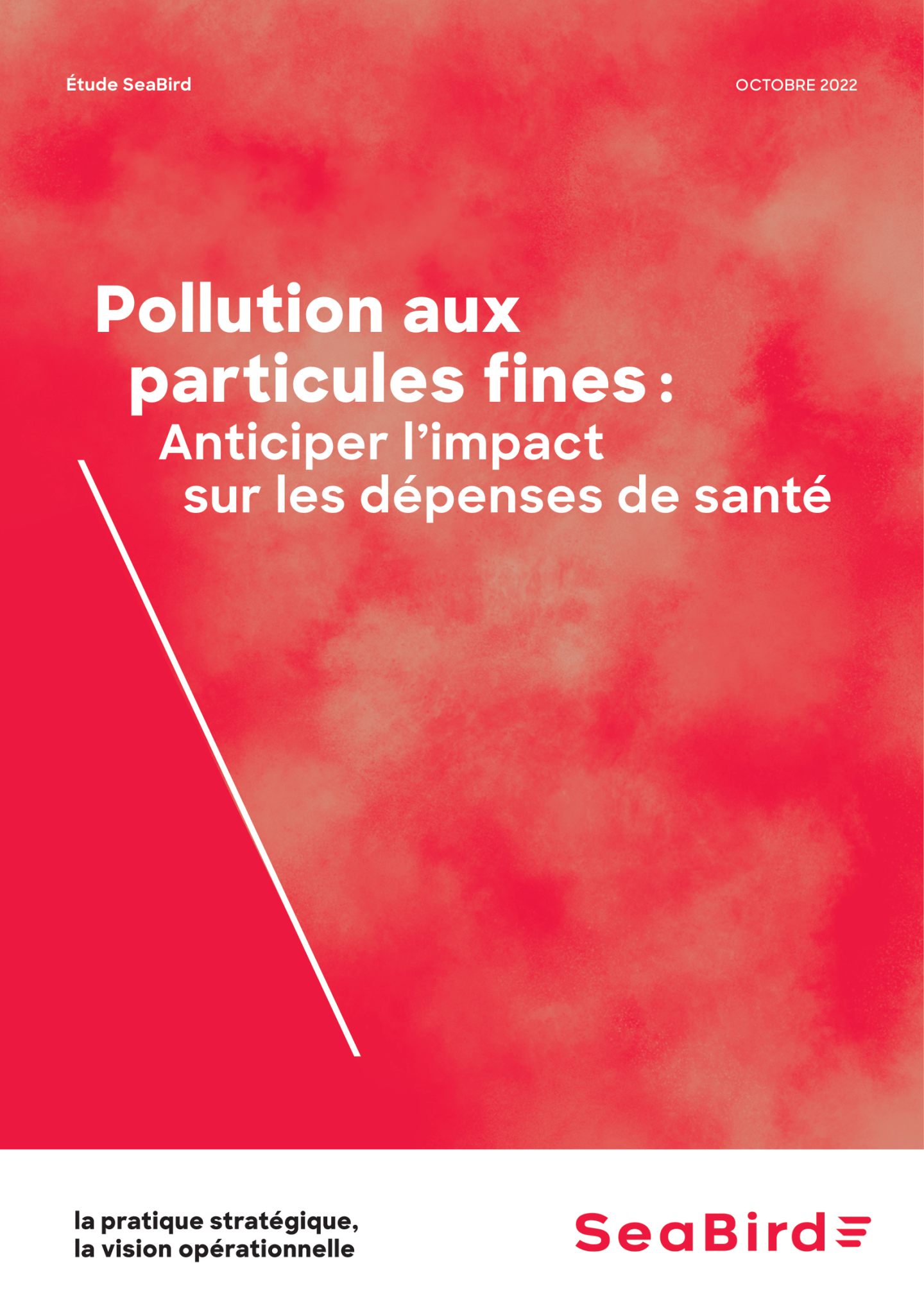 Pollution de l'air : quel impact sur les dépenses de santé | SeaBird