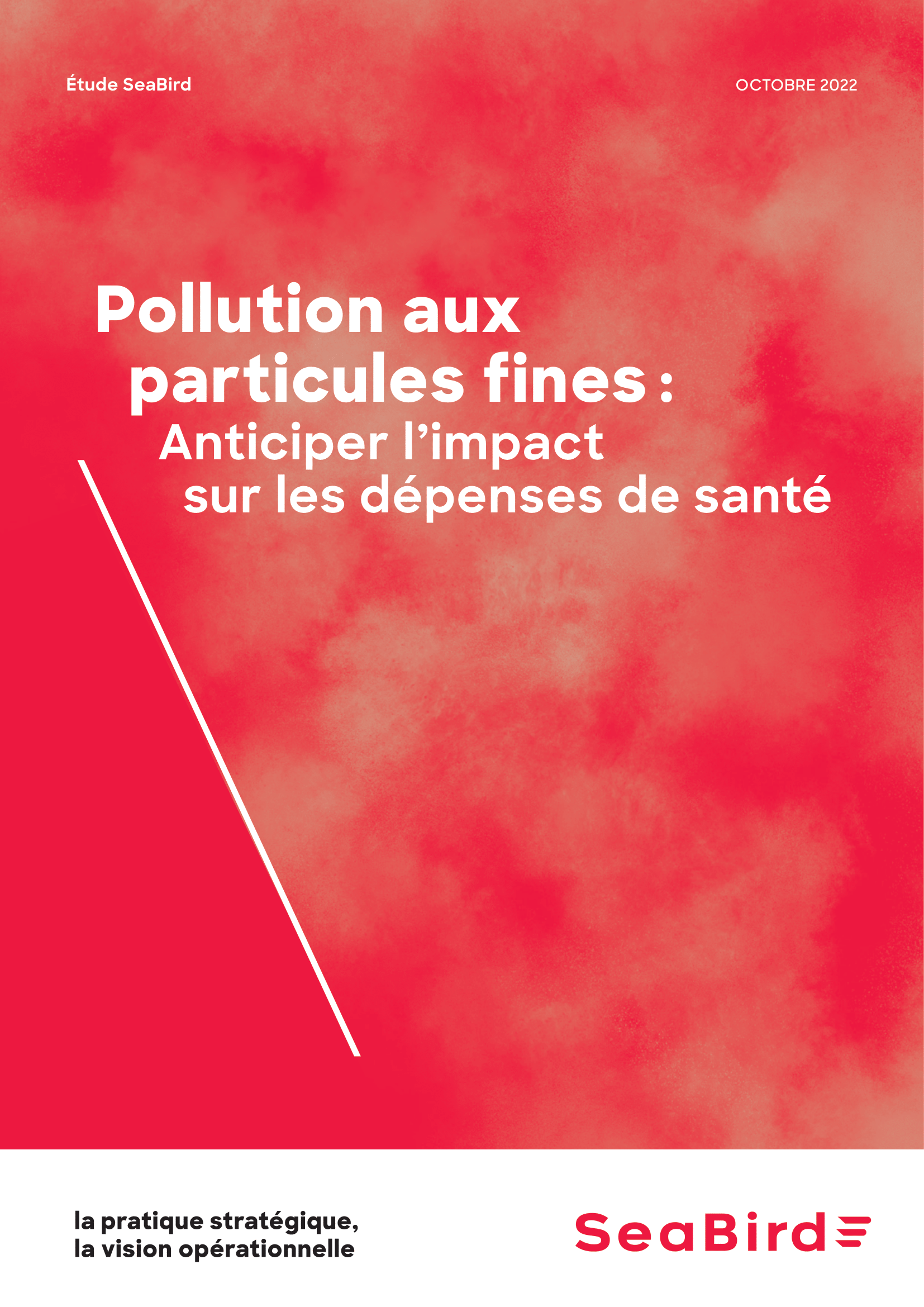 Couverture guide SeaBird - Pollution aux particules fines : anticiper l’impact sur les dépenses de santé
