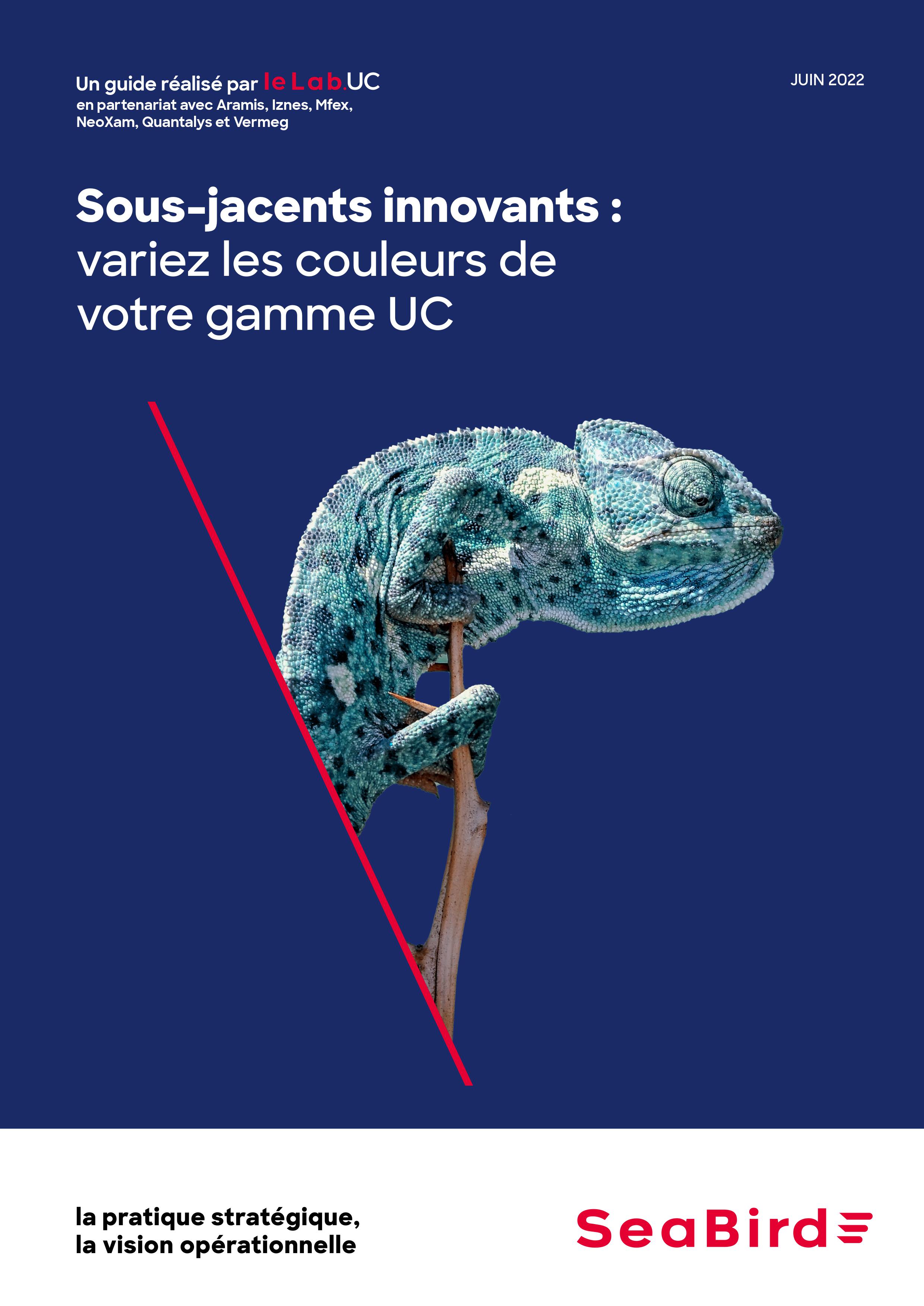 Guide SeaBird - Sous-jacents innovants : variez les couleurs de votre gamme UC